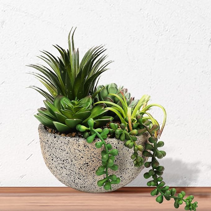 Anko Artificial Succulent Plants with Cement Pot (Potted Plants) | Decorative It